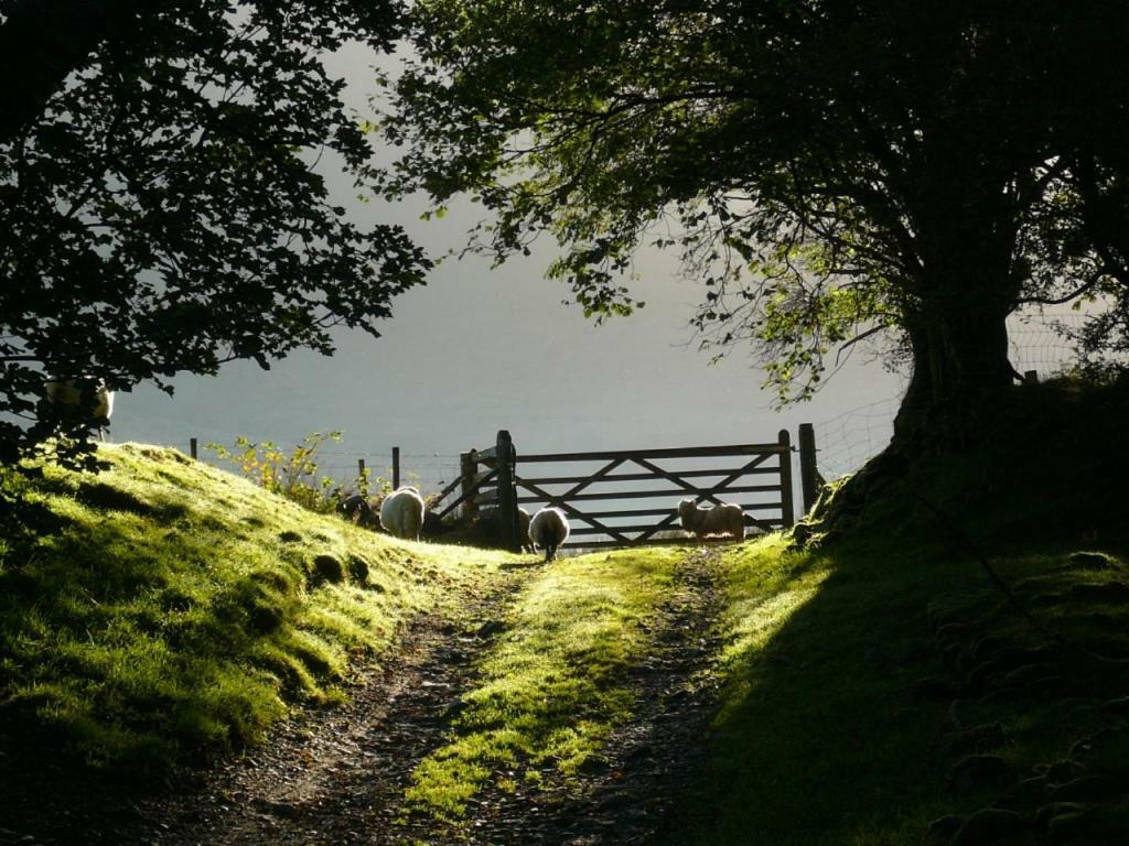 Gesail Barn And Holiday home Machynlleth